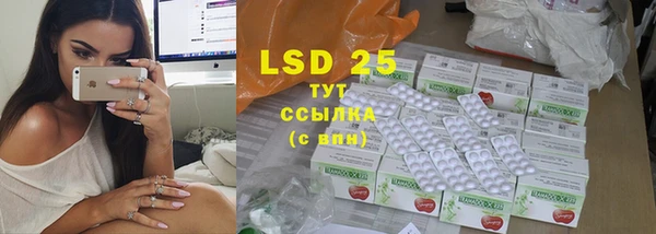 индика Белоозёрский
