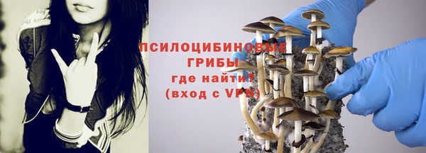 каннабис Белокуриха