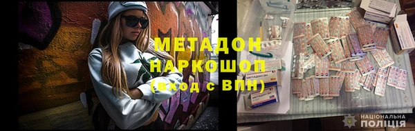 прущие грибы Сосновый Бор